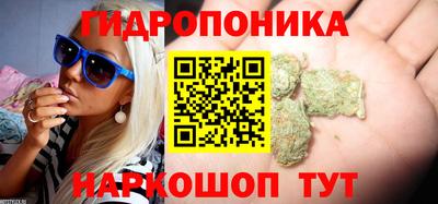МДМА Новозыбков