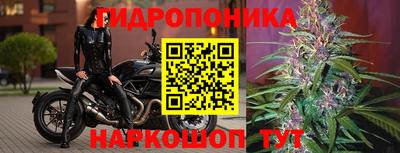 МДМА Новозыбков
