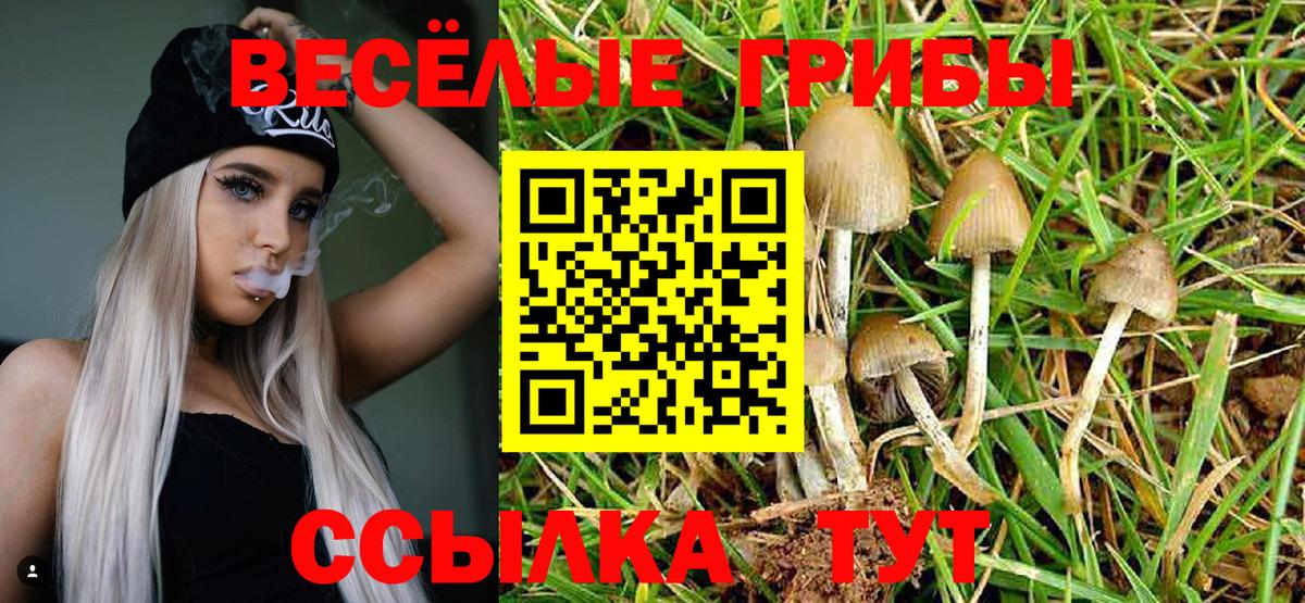 Галлюциногенные грибы мицелий Советск